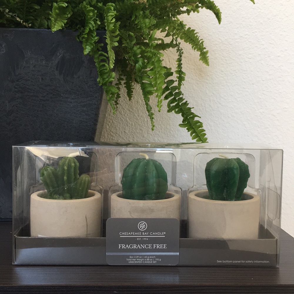 Succulent Candles